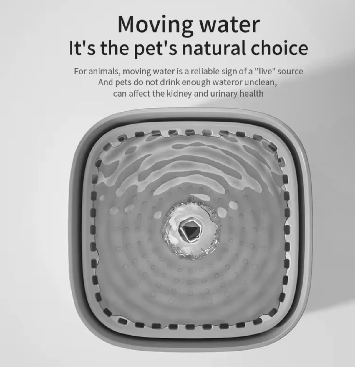 3L Modern Pet Water Fountain