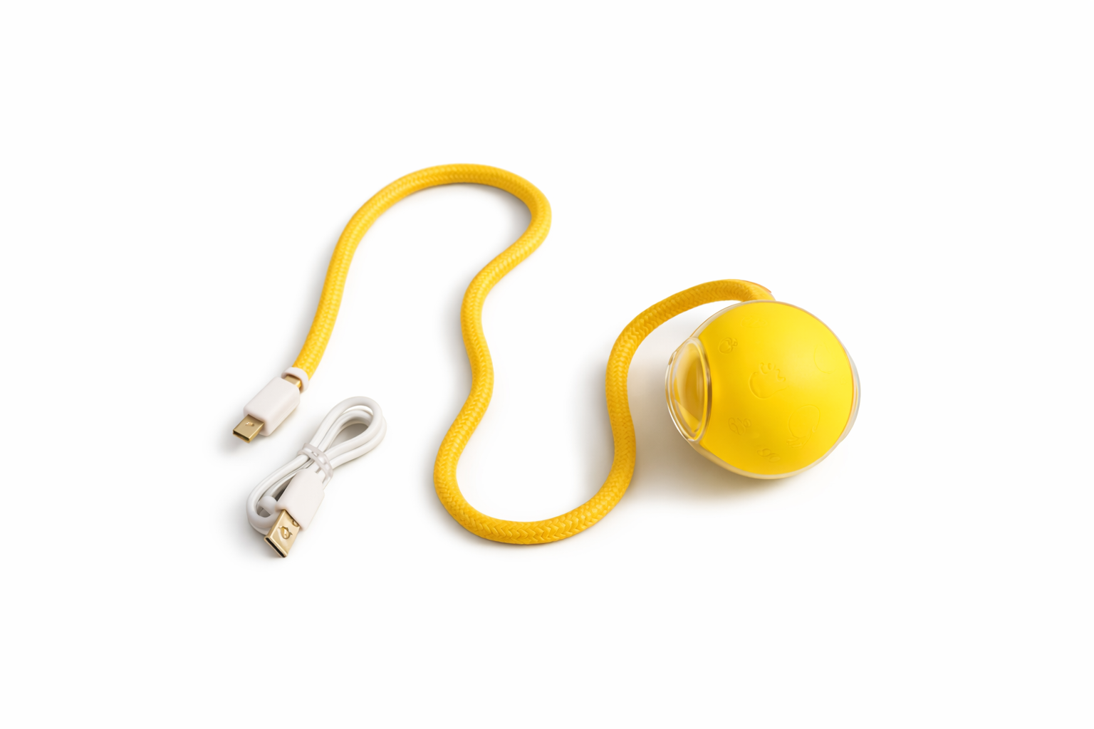 Interactive Smart Rolling Ball - Bird Sound