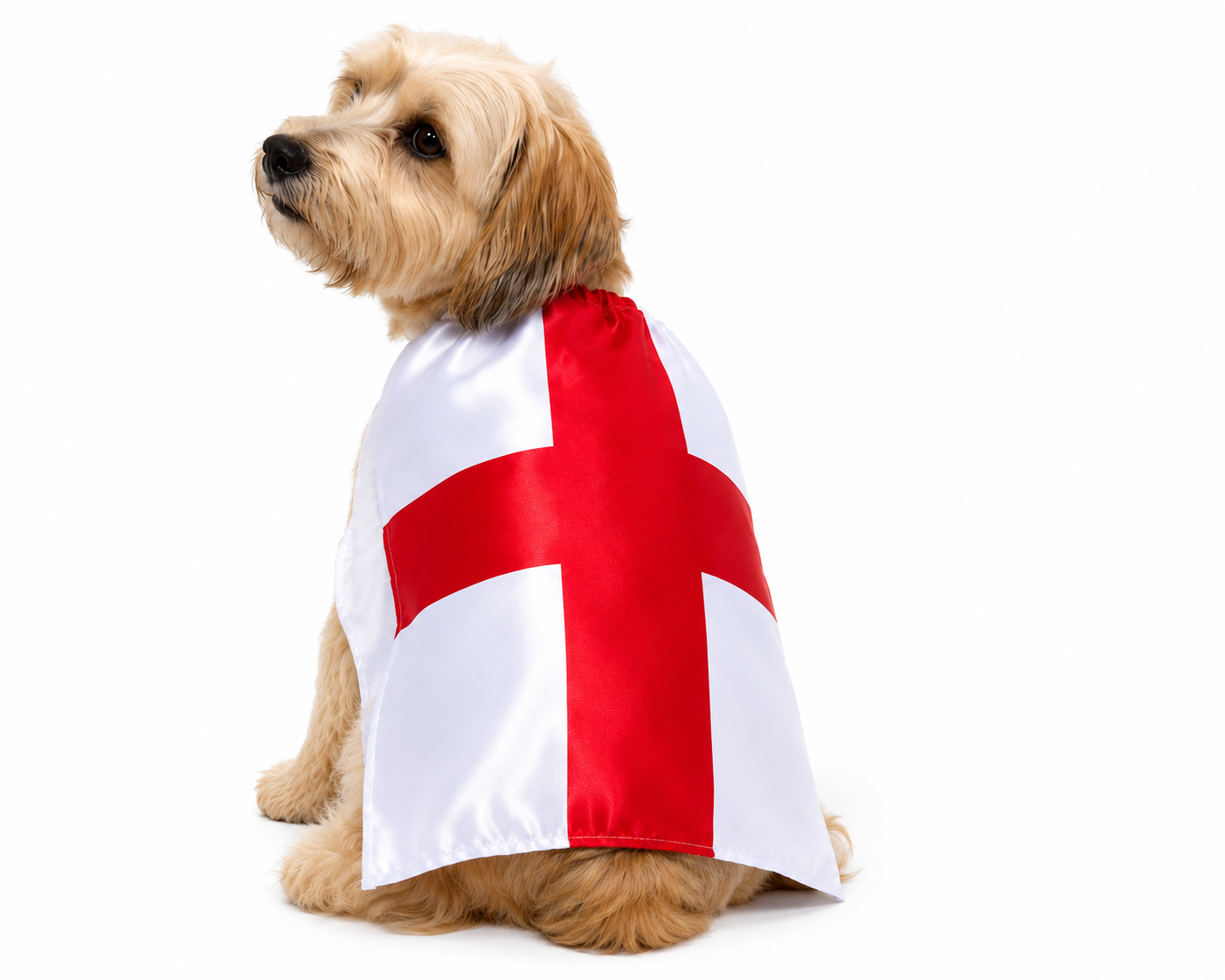 Pre-Order: England St George’s Cross Dog Cape