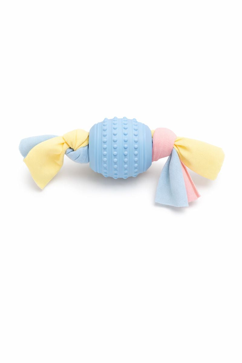 Blue Sweet Puppy Chew Toy