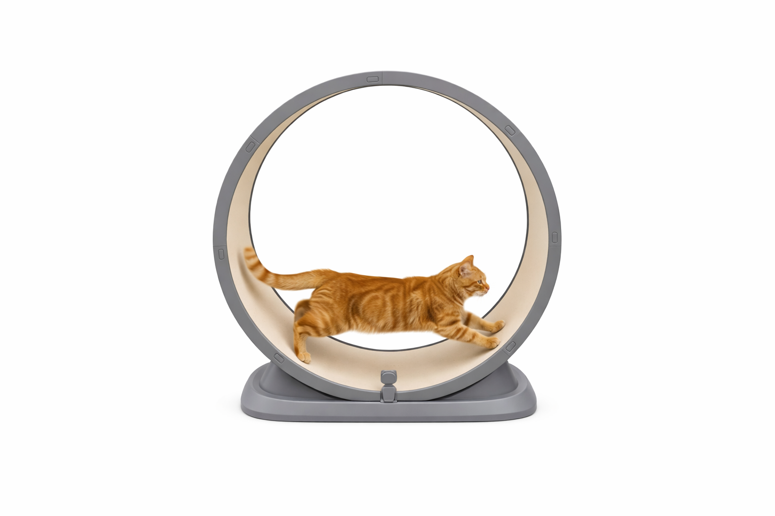 Modern Cat Exercise Wheel Grey/White
