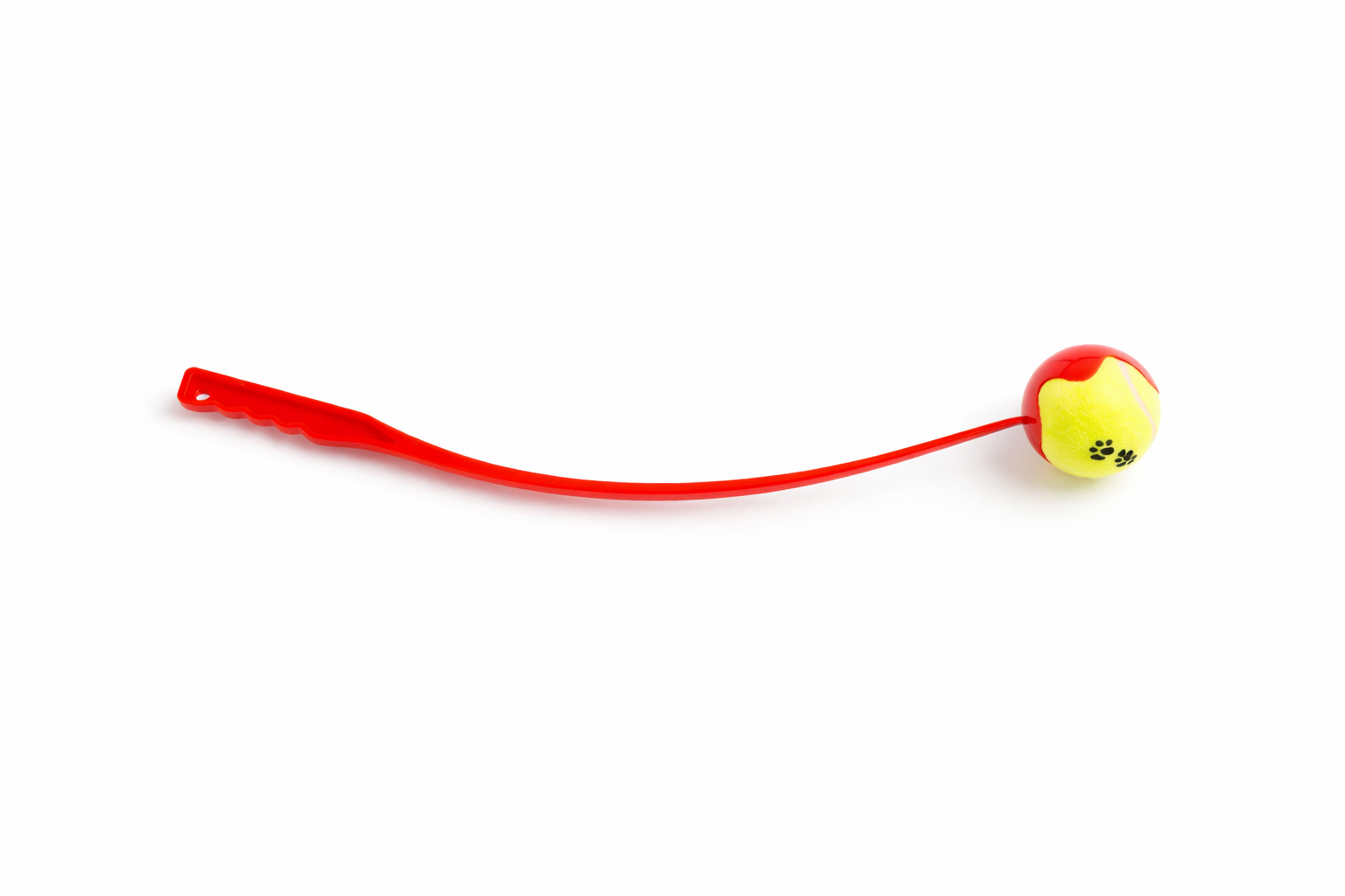 Ball Launcher with Tennis Ball