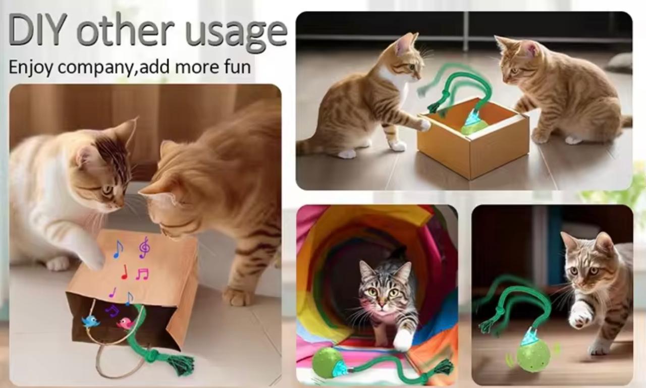 Interactive Smart Rolling Ball - Bird Sound