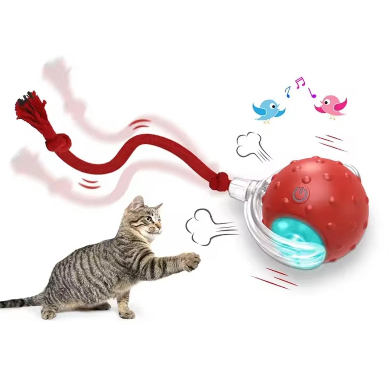 Interactive Smart Rolling Ball - Bird Sound