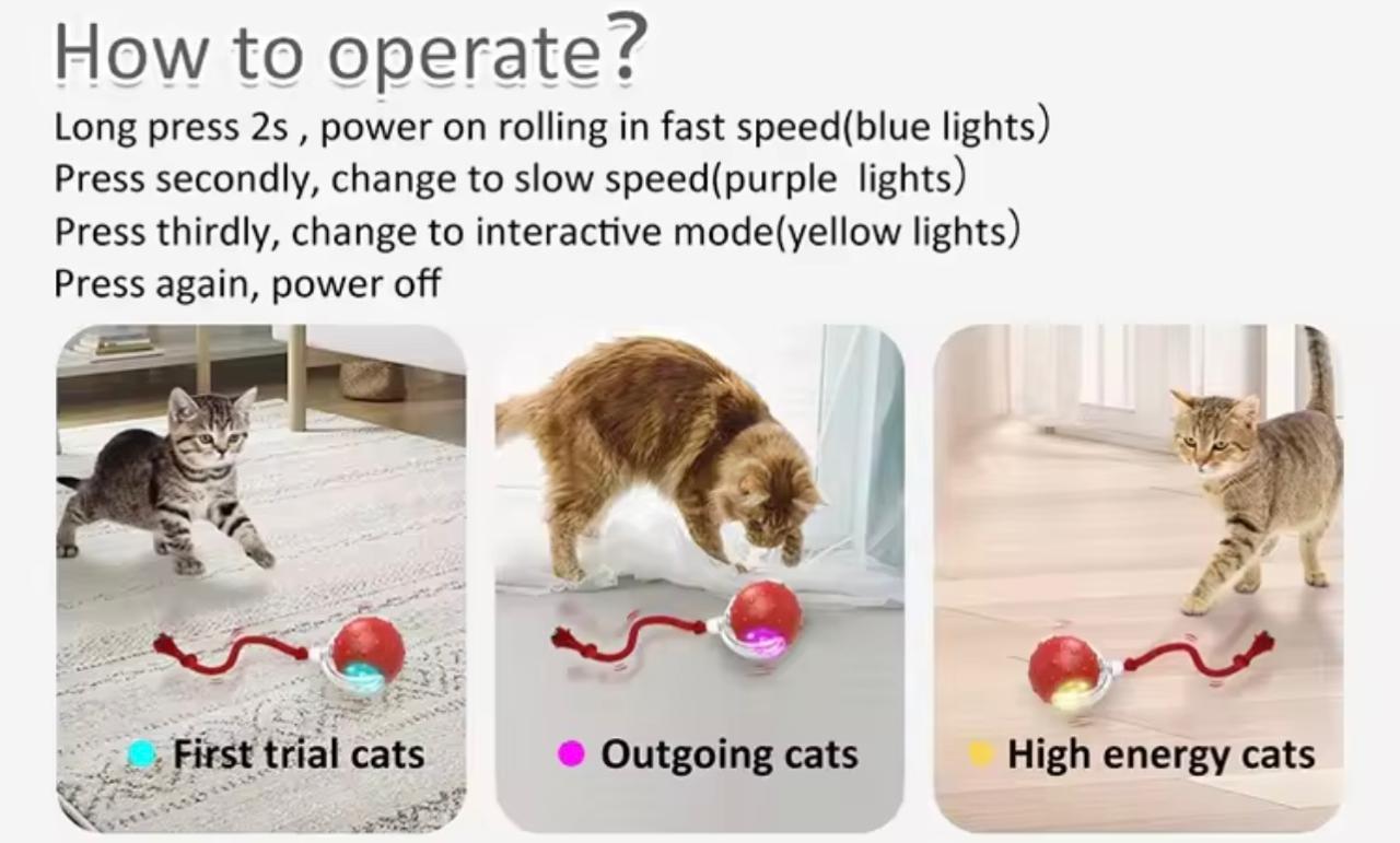 Interactive Smart Rolling Ball - Bird Sound