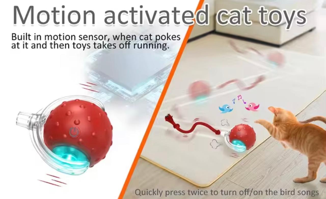 Interactive Smart Rolling Ball - Bird Sound