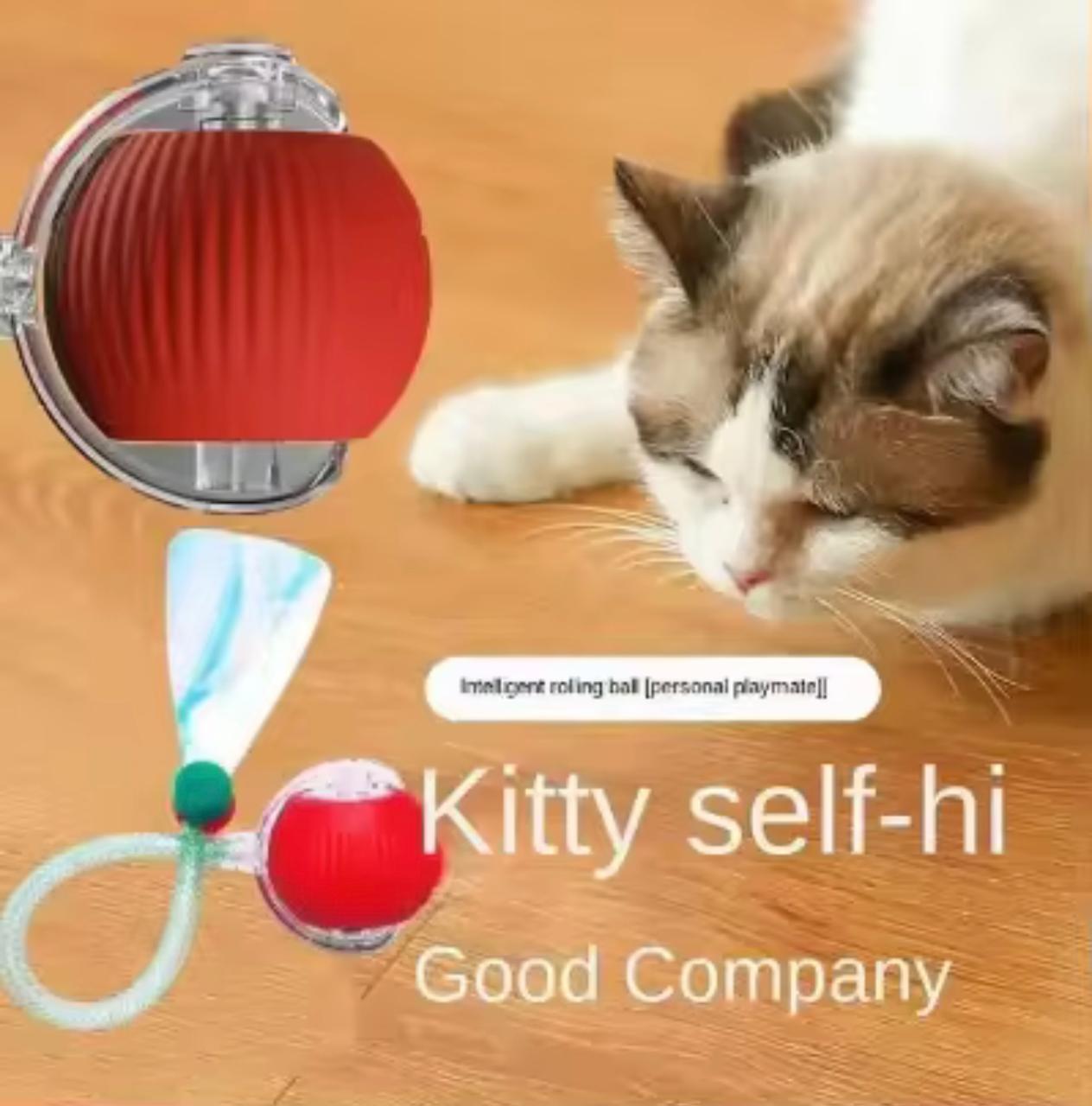Automatic Interactive Rolling Ball - Feather Tail