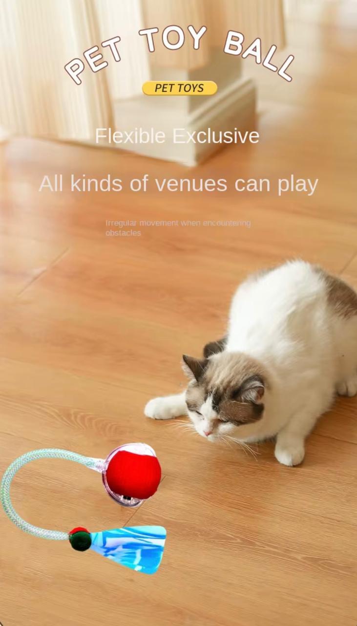 Automatic Interactive Rolling Ball - Feather Tail