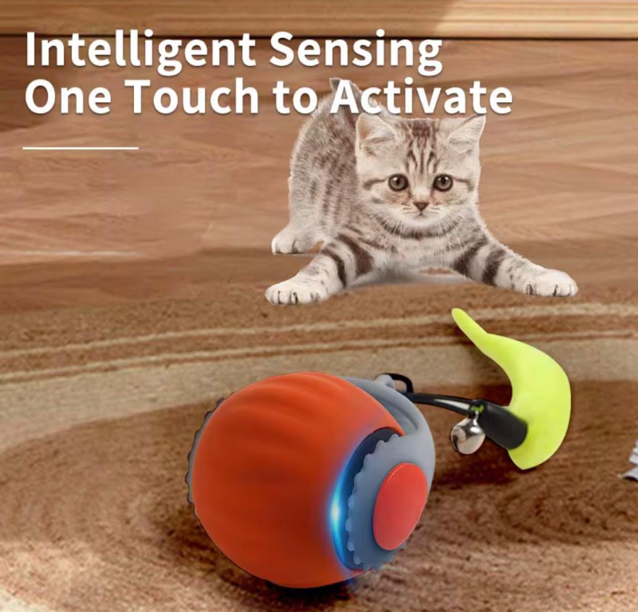 Interactive Smart Cat Ball – Speedy Fur Tail