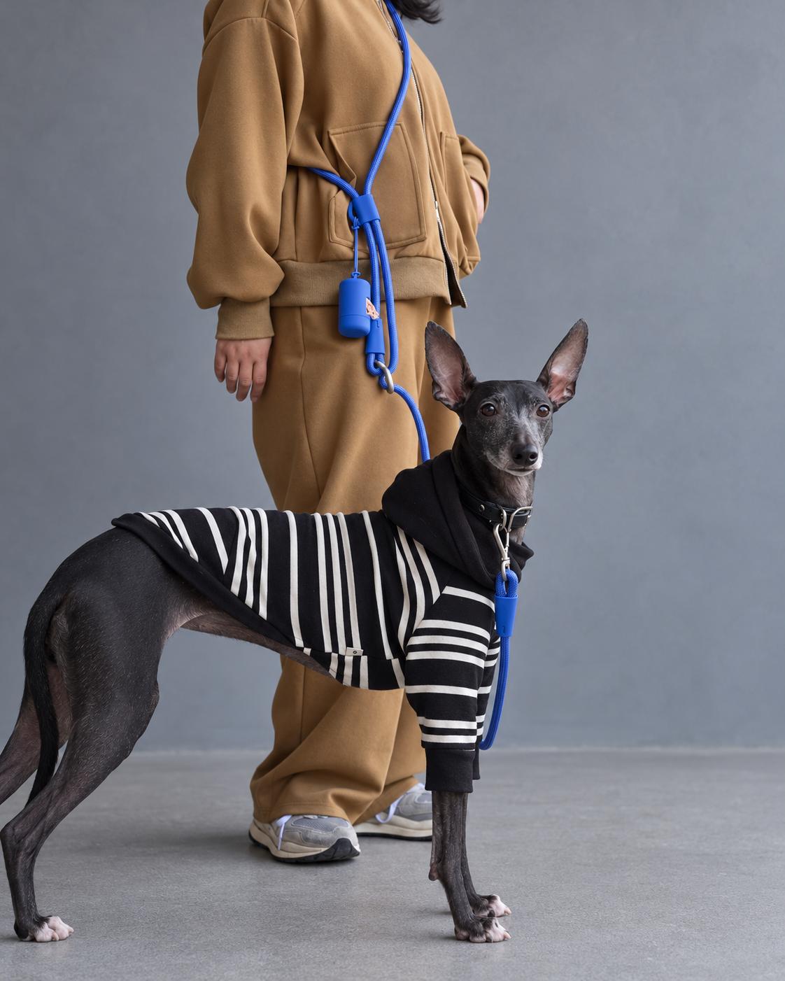 Blue Mayfair Pets multi-way rope lead worn hands-free with dog